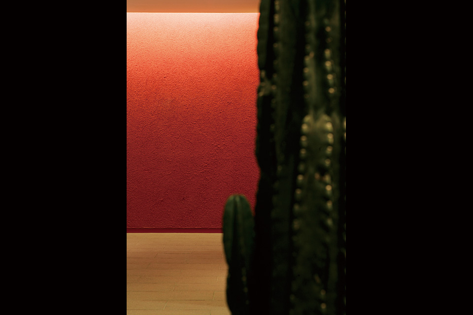 Inspa Shin-yokohama  / インスパ新横浜